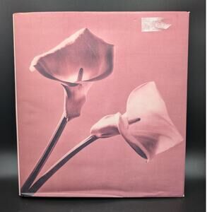 Pistils Book Robert Maplethorpe First Edition 1996 Hardback Slipcover Acceptable